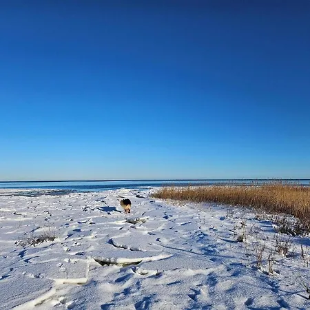 6 Person In Orsted-by Traum Nyaraló Ørsted