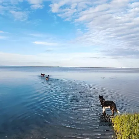 6 Person In Orsted-by Traum בית נופש *